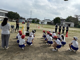 IMG_1231 IMG_1231