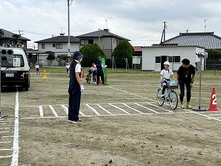 IMG_1239 IMG_1239