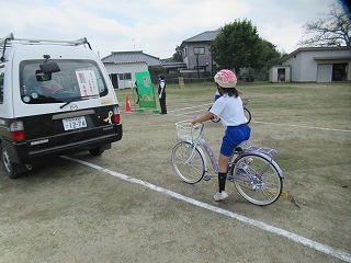 IMG_4667 IMG_4667