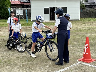IMG_1241 IMG_1241