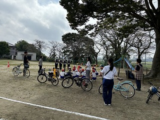 IMG_1230 IMG_1230
