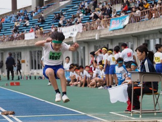 PA105100 PA105100