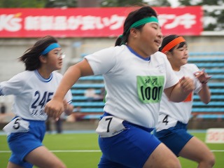 PA105257 PA105257