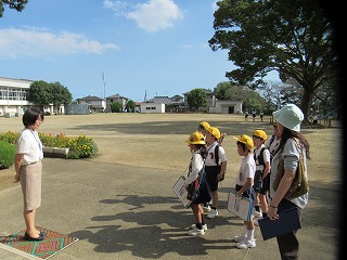 IMG_4733 IMG_4733