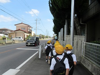 IMG_4735 IMG_4735