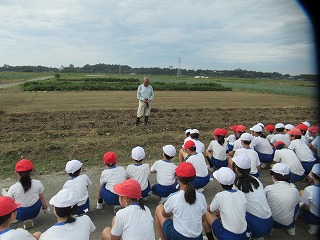 IMG_4800 IMG_4800