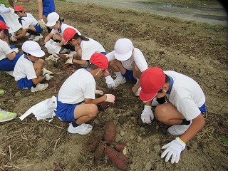 IMG_4812 IMG_4812