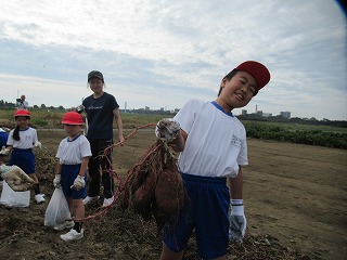IMG_4815 IMG_4815