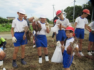 IMG_4823 IMG_4823