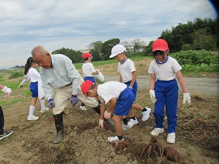 IMG_4838 IMG_4838