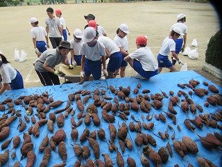IMG_4864 IMG_4864