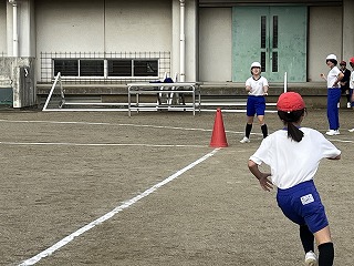 IMG_8661 IMG_8661