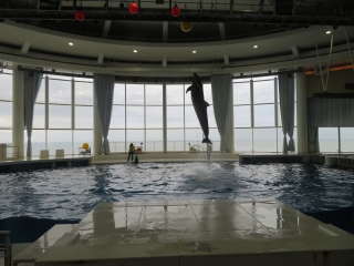 IMG_1726 IMG_1726