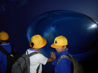 DSCN5832 DSCN5832
