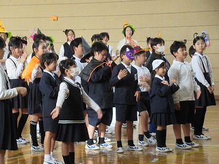 IMG_4972 IMG_4972