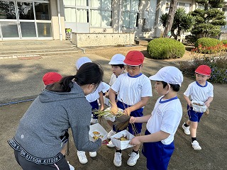 IMG_2238 IMG_2238