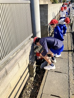 IMG_2422 IMG_2422