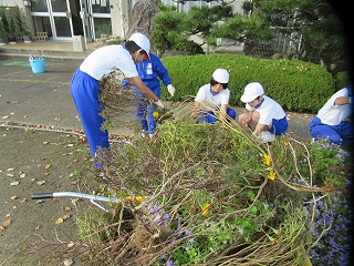 IMG_5259 IMG_5259