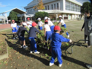 IMG_5274 IMG_5274