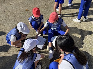 IMG_9153 IMG_9153