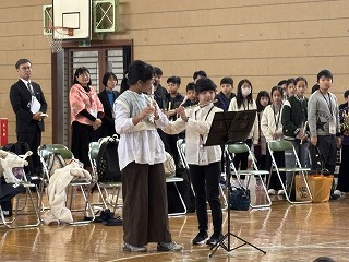 IMG_2643 IMG_2643