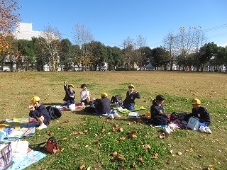 IMG_0589 IMG_0589