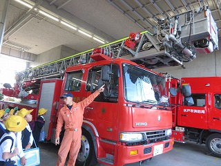IMG_0633 IMG_0633