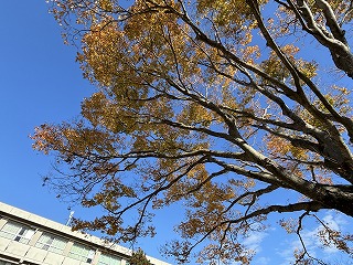 IMG_2875 IMG_2875