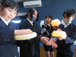 IMG_1929 IMG_1929