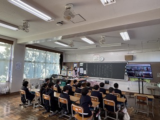 IMG_3713 IMG_3713