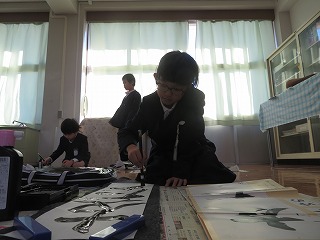 IMG_0905 IMG_0905