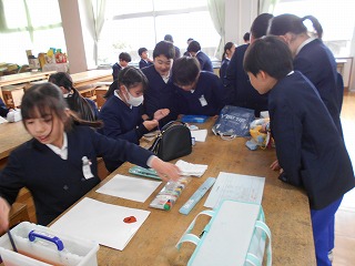 DSCN0440 DSCN0440