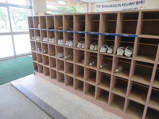 IMG_1765 IMG_1765
