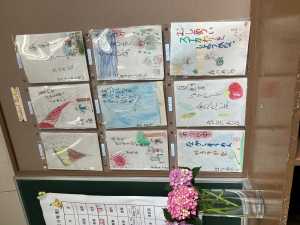 IMG_1352 IMG_1352