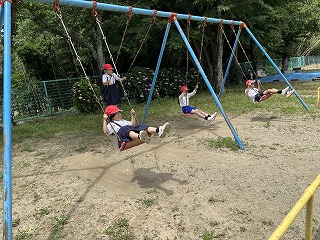 IMG_8215 IMG_8215