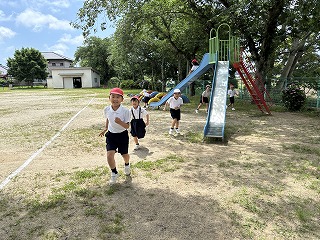 IMG_8220 IMG_8220