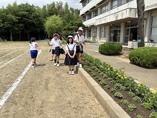 IMG_8234 IMG_8234