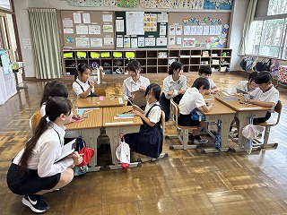 IMG_8317 IMG_8317