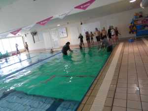 DSCN1135 DSCN1135