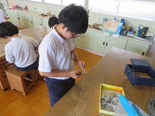 IMG_2225 IMG_2225