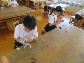 IMG_2227 IMG_2227