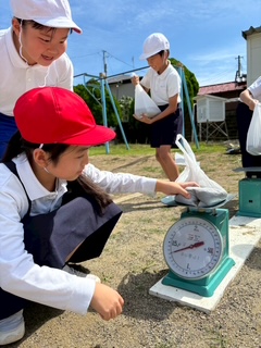 image6 image6