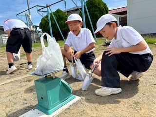 image7 image7