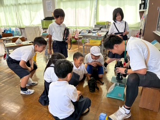 image9 image9