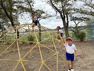 IMG_1228 IMG_1228