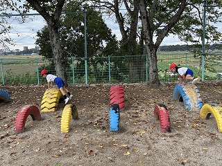 IMG_1233 IMG_1233
