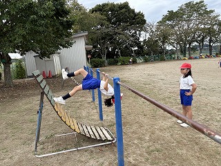 IMG_1246 IMG_1246