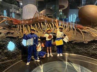 IMG_1311 IMG_1311