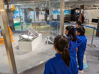IMG_1567 IMG_1567