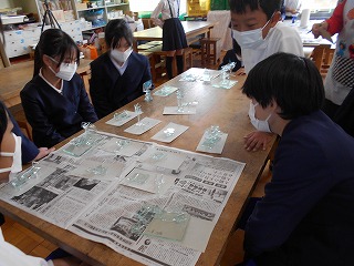 DSCN6472 DSCN6472